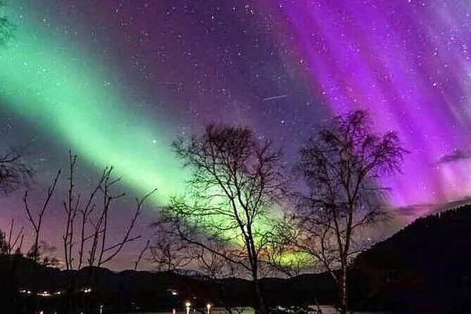 Private Northern Lights Tour From Reykjavik - Private Northern Lights from Reykjavik: built for your group