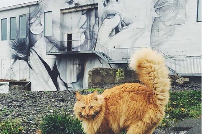 Private Reykjavik Cat Walking Tour - Kattakaffihúsið: where the tour earns its title
