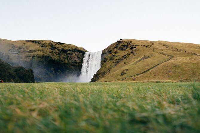 Private South Coast tour in Iceland - Dyrhólaey cliffs: arch views and puffins in summer