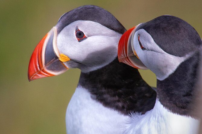 Private South Coast Tour with a Professional Photographer/Guide - Price and value: what $1,490 buys for up to 4 people