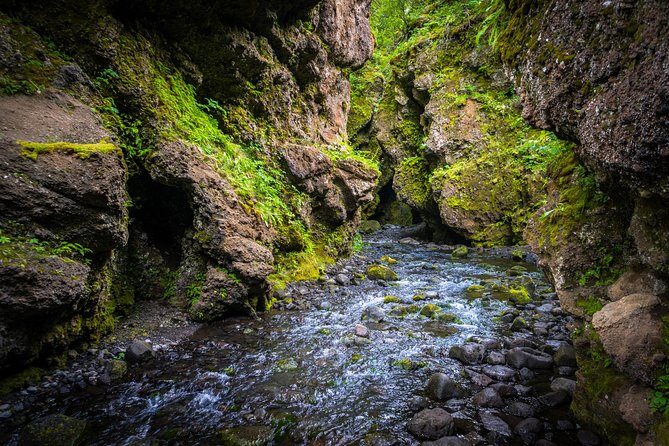 Private Thorsmork Super Jeep Tour - Stop 3: Þórsmörk itself—green valley, river crossings, and glacier power