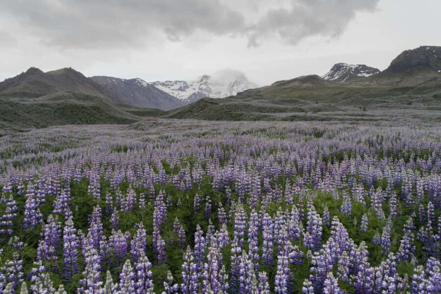Private Tour to Landmannalaugar. Explore the Highlands - Key highlights that make this Landmannalaugar day special