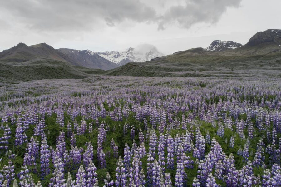 Private Tour to Landmannalaugar. Explore the Highlands - Price and value: $1,495 per group up to 6 people