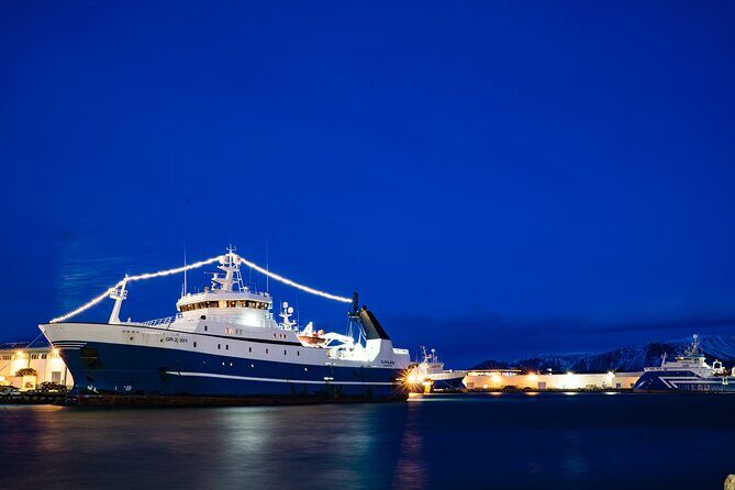 Private Transfer Service from Hotels in Reykjavik to Cruise Ship Terminal - Why This Transfer Works for Cruise Days