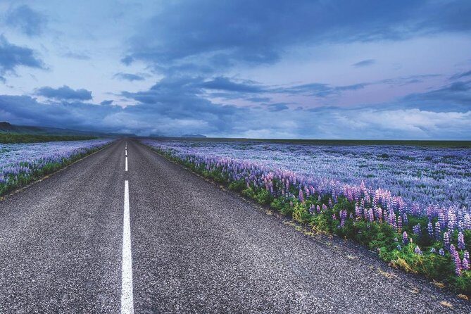 Rent Unlimited High Speed pocket Wifi in Iceland - Using It Across Iceland: Why a Shared Hotspot Saves Decisions