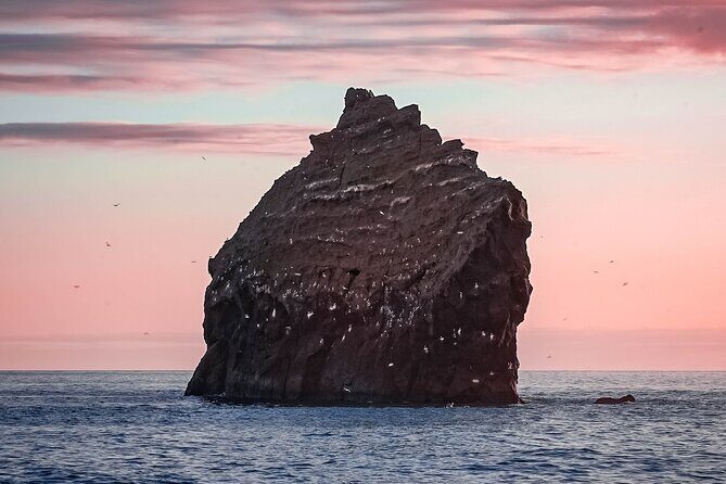 Reykjanes Peninsula Private tour Iceland - Price and what you get for a $600 group booking