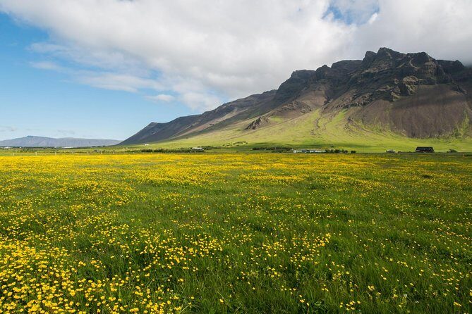 Reykjanes peninsula - The 9:00 am plan: how the day flows