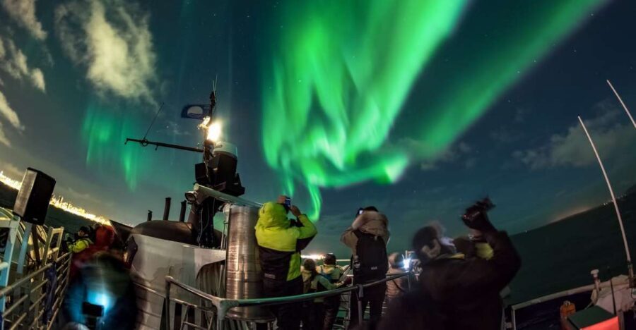 Reykjavik: 2-Hour Northern Lights by Boat with Backup Plan - The aurora chase itself: what to expect from the 2-hour hunt
