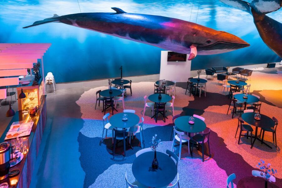 Reykjavik: 2-Hour Northern Lights by Boat with Backup Plan - When clouds win: your Whales of Iceland Exhibition backup plan