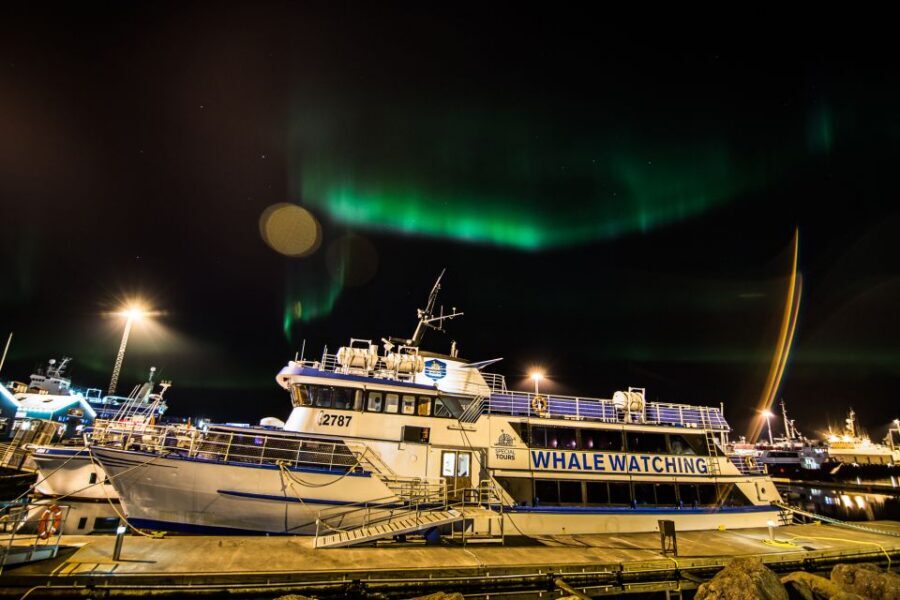 Reykjavik: 2-Hour Northern Lights by Boat with Backup Plan - On the boat: your guide turns the wait into the activity