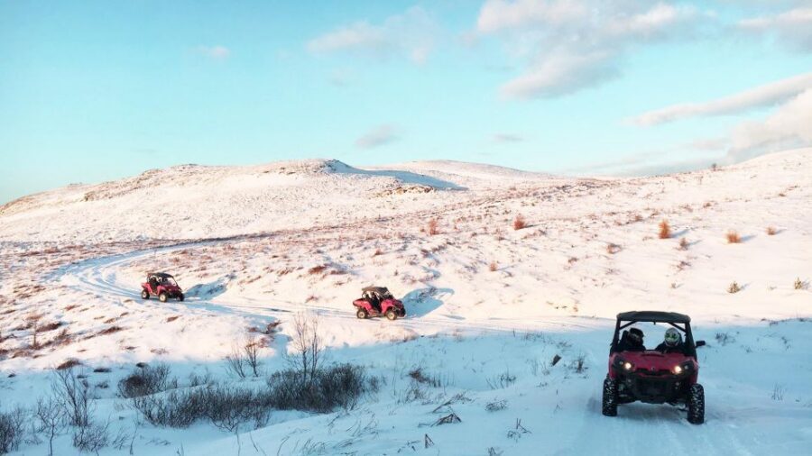 Reykjavik: Buggy Safari Tour with Hotel Transfers - Key points before you go