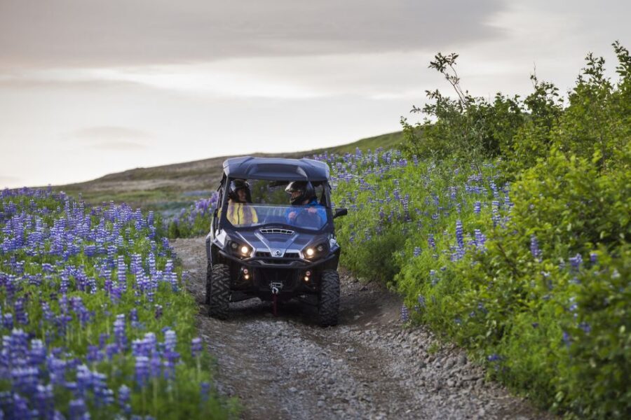 Reykjavik: Buggy Safari Tour with Hotel Transfers - Reykjavik Peak: the guided hour where the mountains pay you back
