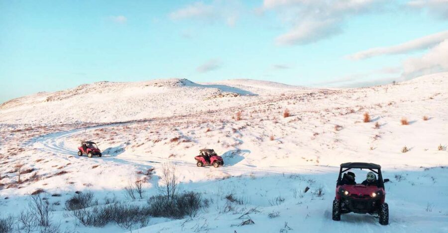 Reykjavik: Buggy Safari Tour with Hotel Transfers - The buggy: automatic control, 4x4 traction, and safety gear that’s not just for show