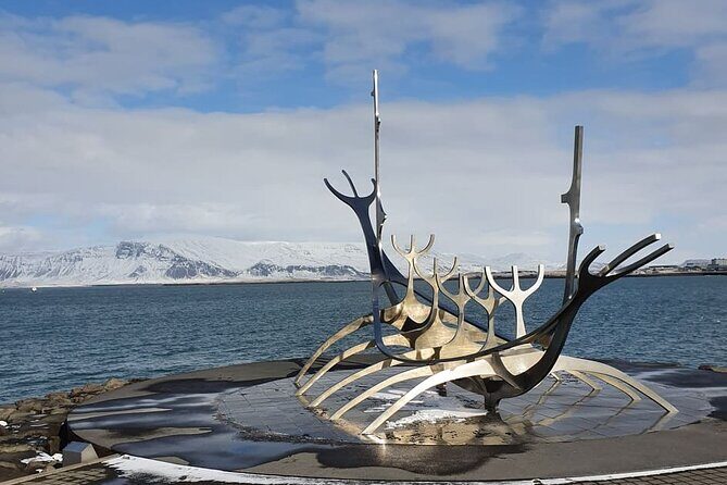 Reykjavik City Private Tour - Price and what $651.26 per group means for your budget