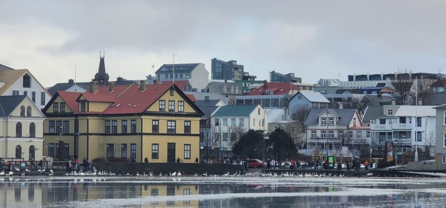 Reykjavik City Private Tour: Perlan, Arbaer & City Landmarks - A private Reykjavik half-day that actually feels personal