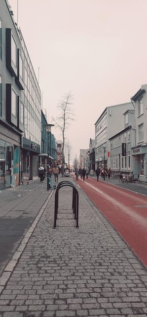 Reykjavik City Private Tour: Perlan, Arbaer & City Landmarks - Timing and getting around in 5 hours