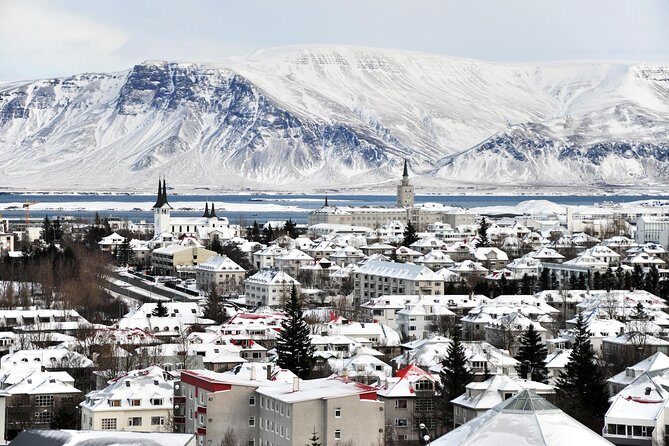 Reykjavik City Walking Tour - Old Harbour to Harpa: modern Reykjavík with bay-level views
