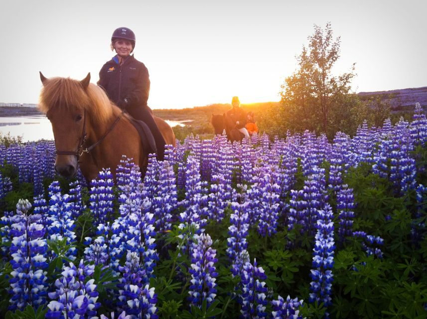 Reykjavik: Evening Sleipnir Horse Riding Tour with Pickup - Key highlights at a glance
