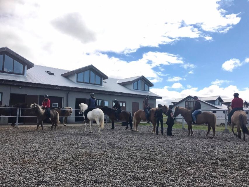 Reykjavik: Evening Sleipnir Horse Riding Tour with Pickup - Back at the Viking Horses stables: warm drinks and kleina