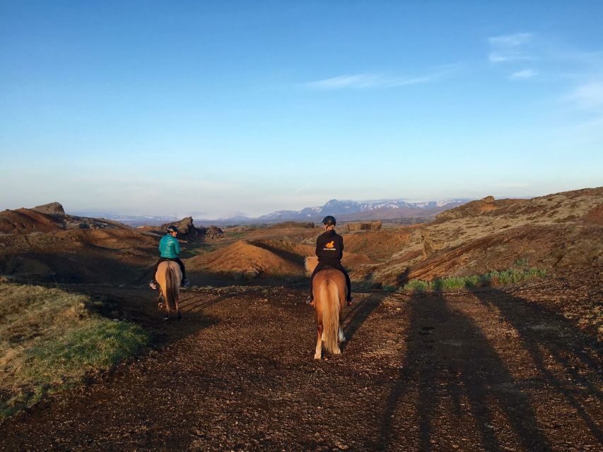 Reykjavik: Evening Sleipnir Horse Riding Tour with Pickup - Pickup windows and how the 3 hours actually feel