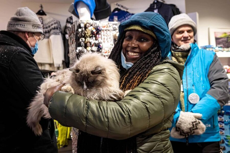 Reykjavik: Feline-Focused City Walking Tour - Key Points You Should Know
