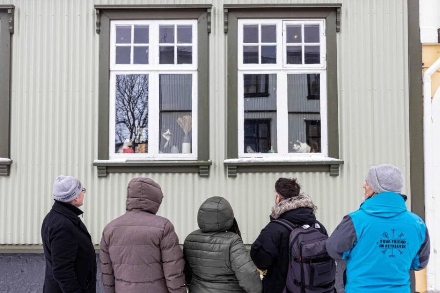 Reykjavik: Feline-Focused City Walking Tour - Who Should Book This Tour (and Who Might Skip It)