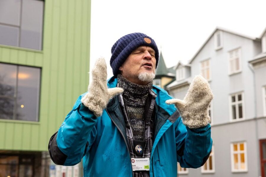 Reykjavik: Feline-Focused City Walking Tour - Why a Cat-Focused Walk Works So Well in Reykjavik