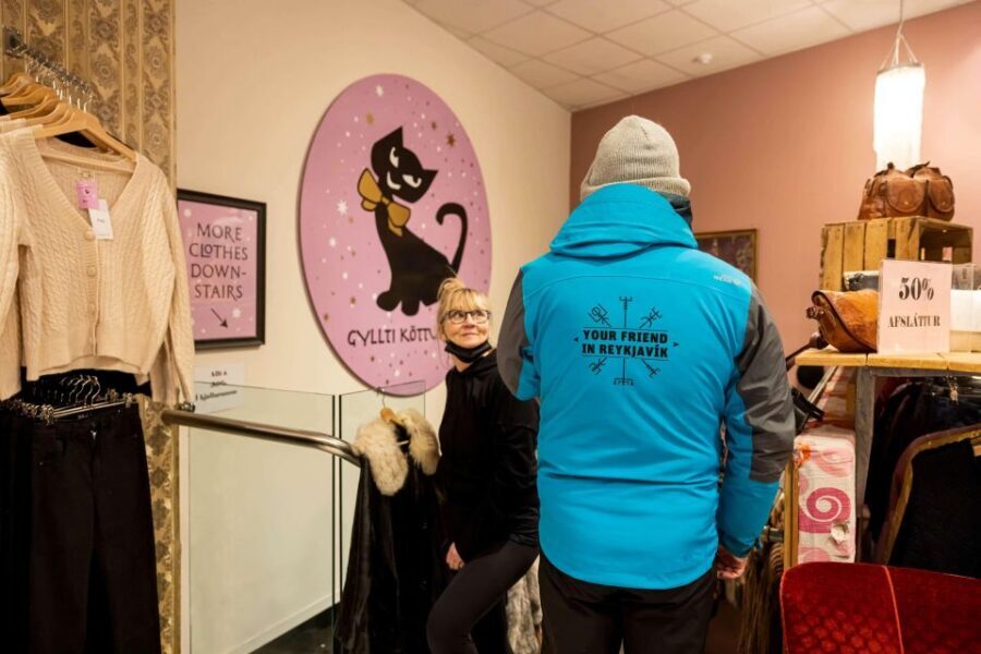 Reykjavik: Feline-Focused City Walking Tour - Lake Tjörnin: Scenic Break, Myth Spill, and Street-Cat Energy