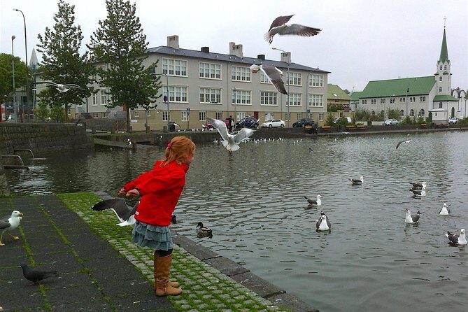 Reykjavik Food Tour and City Walk - PRIVATE TOUR - Finishing near Austurvöllur: where to go next