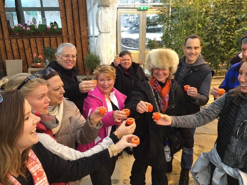 Reykjavik: Golden Circle, Fridheimar, & Sky Lagoon Day Trip - Quick hits on this Golden Circle + Sky Lagoon day