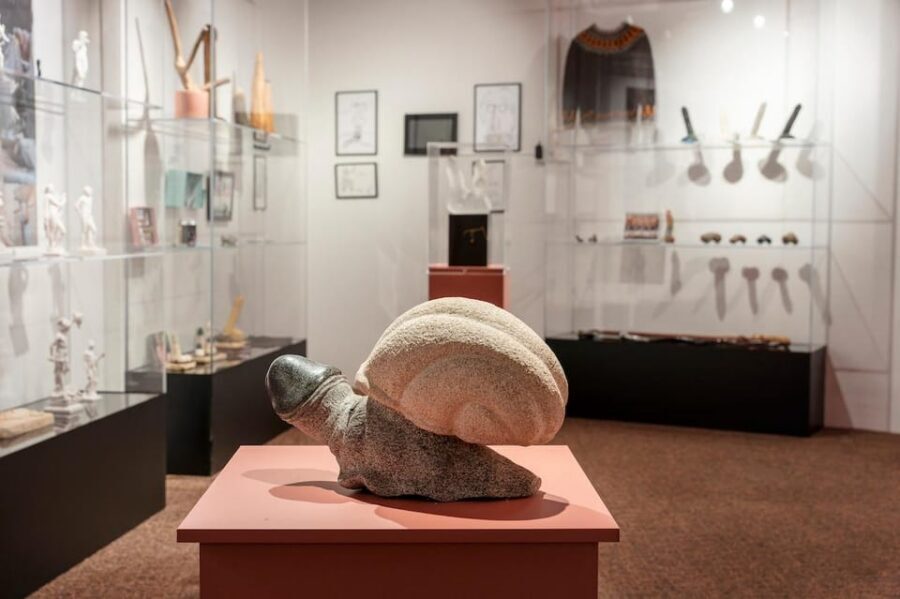Reykjavik: Icelandic Phallological Museum Entry Ticket - The museum experience: independent, family-owned, and grown from donations