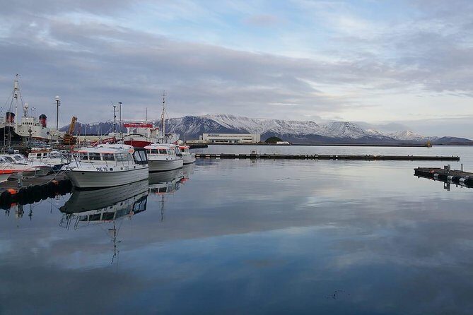 Reykjavik Main Sights and Hidden Spots: A Self-Guided Audio Walk - The Tech Reality: Phone Setup, Offline, and GPS Timing