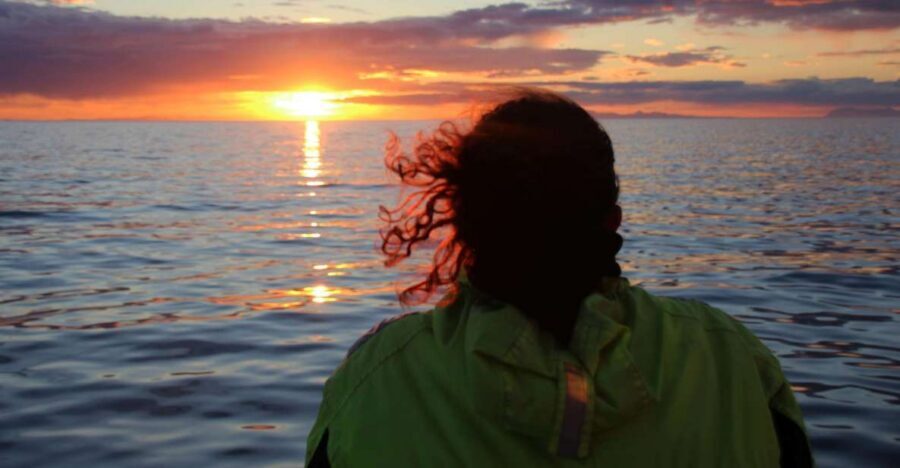 Reykjavík: Midnight Sun Whale Watching Cruise - Quick hits before you go