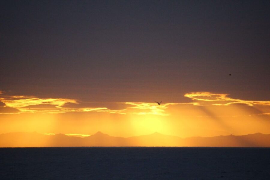 Reykjavík: Midnight Sun Whale Watching Cruise - Why midnight-sun whale watching in Faxaflói Bay feels different