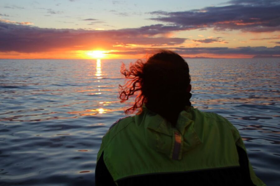 Reykjavík: Midnight Sun Whale Watching Cruise - Seasickness, motion, and how to enjoy moving around