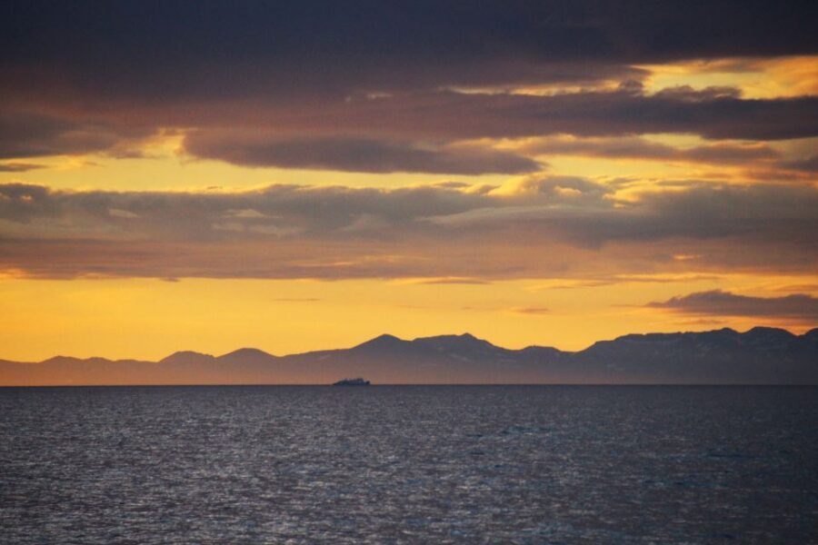 Reykjavík: Midnight Sun Whale Watching Cruise - Who this midnight sun cruise is best for
