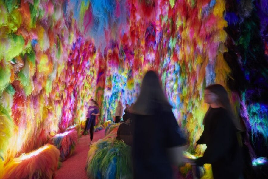 Reykjavík: Multi-Sensory Art Installation Chromo Sapiens - Who should book Chromo Sapiens (and who might not love it)