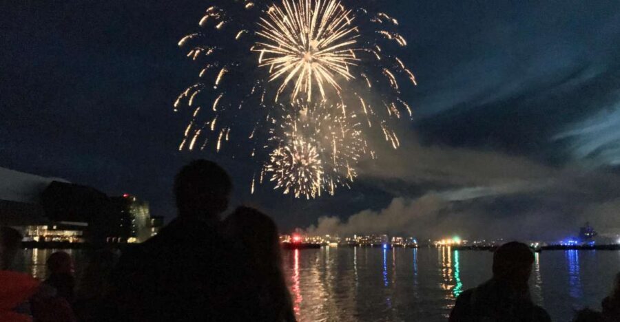 Reykjavik: New Year's Eve Fireworks Cruise - Key highlights at a glance