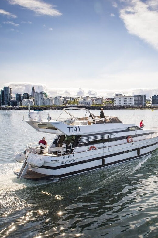 Reykjavík: New Year's Eve Northern Lights Yacht Cruise - Champagne at Midnight and the Yacht Feel: Small, Festive, and Practical
