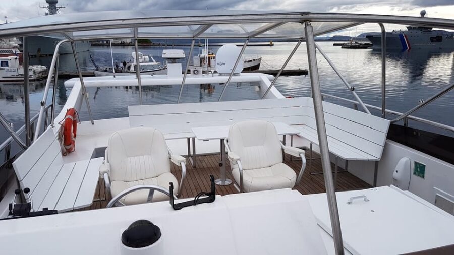 Reykjavík: New Year's Eve Northern Lights Yacht Cruise - Weather, Seasickness, and Realistic Expectations for Aurora Night