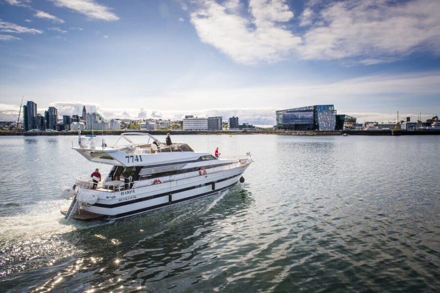 Reykjavík: New Year's Eve Northern Lights Yacht Cruise - Route Highlights: From Reykjavik Coast to Videy Island and Imagine Peace