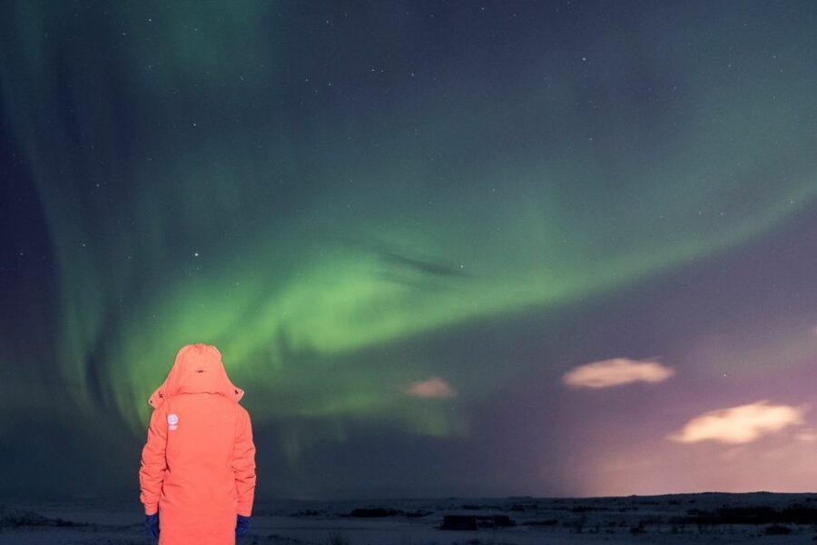 Reykjavik: Northern Lights Group Tour with Photos - The Stops: What Happens Between the Bus Rides
