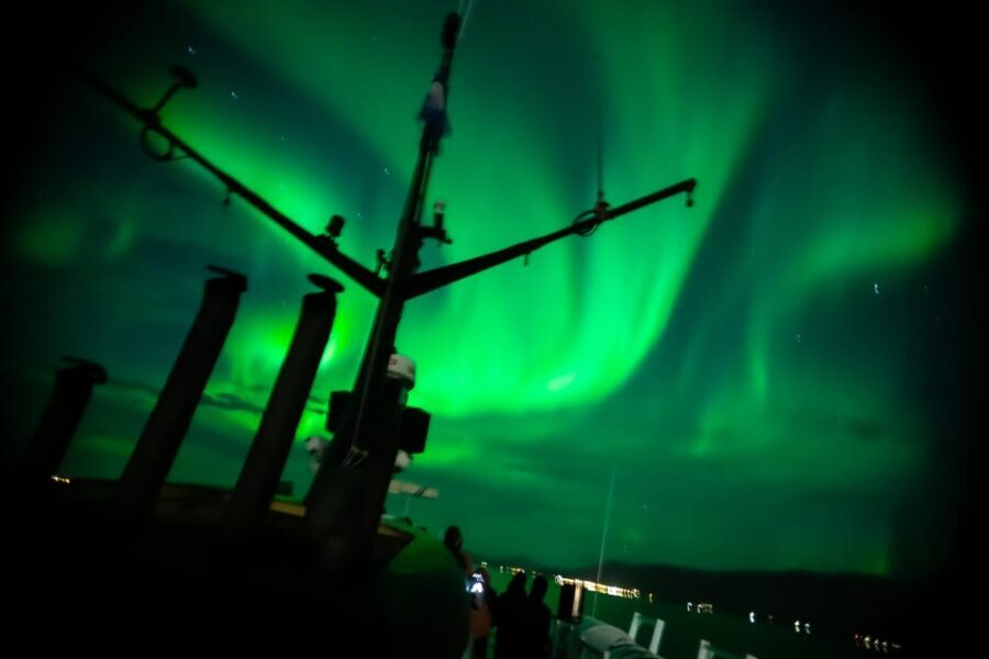 Reykjavik: Northern Lights Guided Boat Tour with Photos - Whales of Iceland Exhibition Entry: A Useful Bonus for Your Schedule