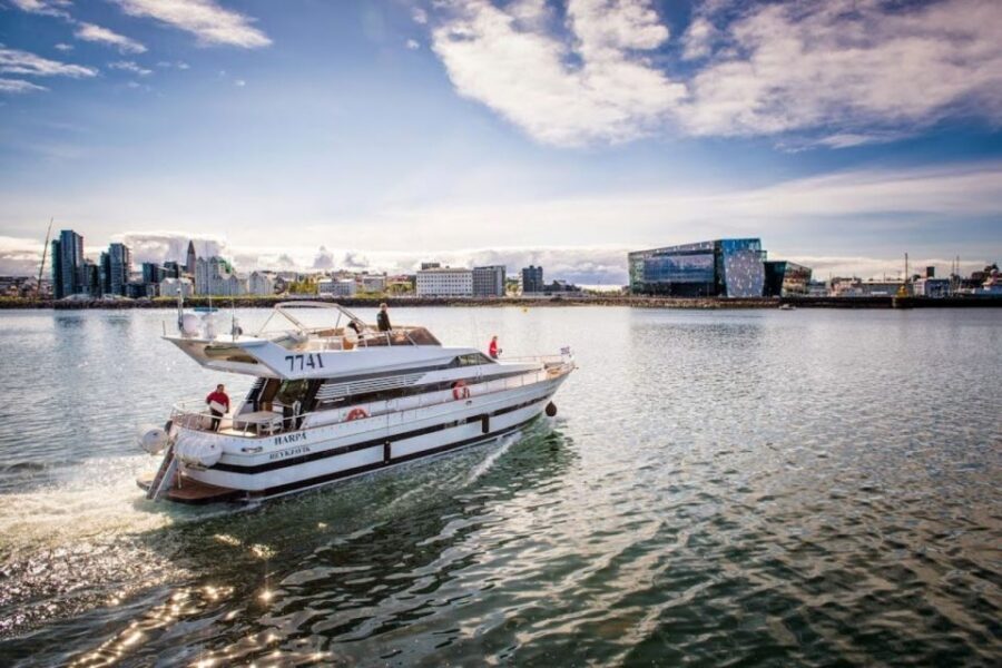 Reykjavik: Northern Lights Motor Yacht Cruise - Price and Value: Is $99 Worth It for a Yacht Aurora Cruise?