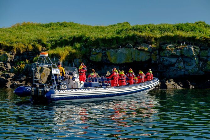 Reykjavik Premium Puffin tour | Close Up and Personal - Gear and comfort: flotation suits are doing real work here