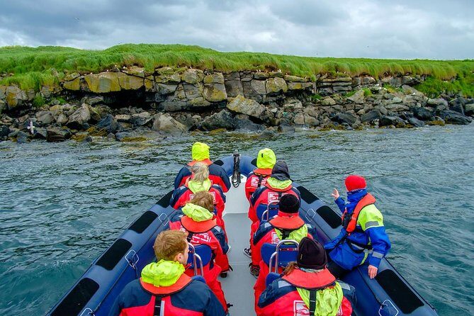 Reykjavik Premium Puffin tour | Close Up and Personal - How long it takes and how it fits into your Reykjavik day