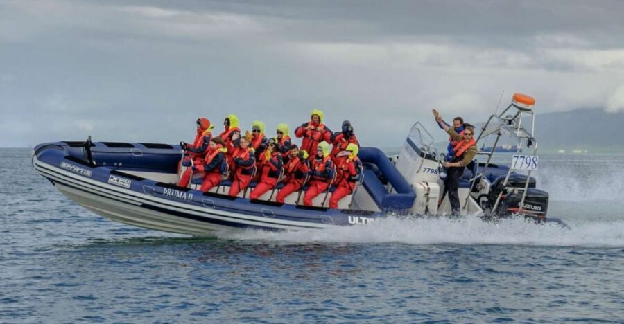 Reykjavik: Premium Whale Watching with Flexible Ticket - Why This RIB Safari Works Better Than a Slow Boat