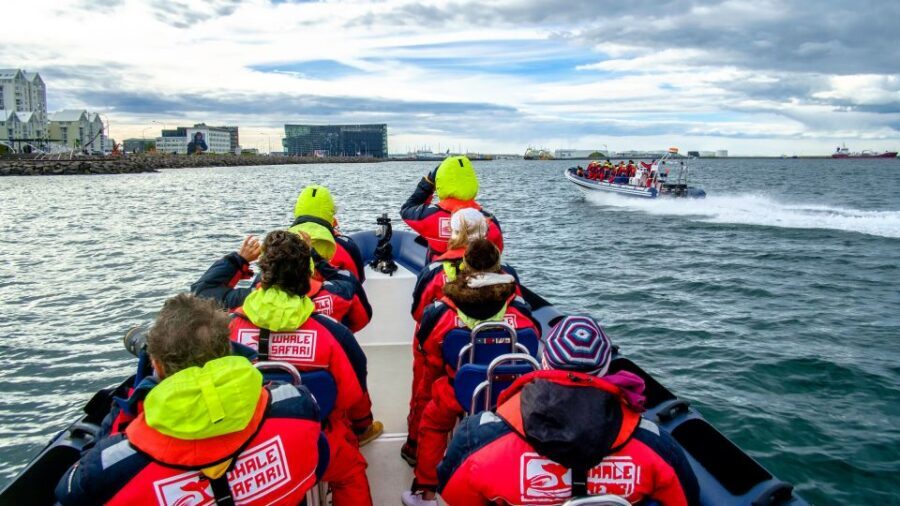 Reykjavik: Premium Whale Watching with Flexible Ticket - Puffins in Season: A Bonus When You’re Close to the Action