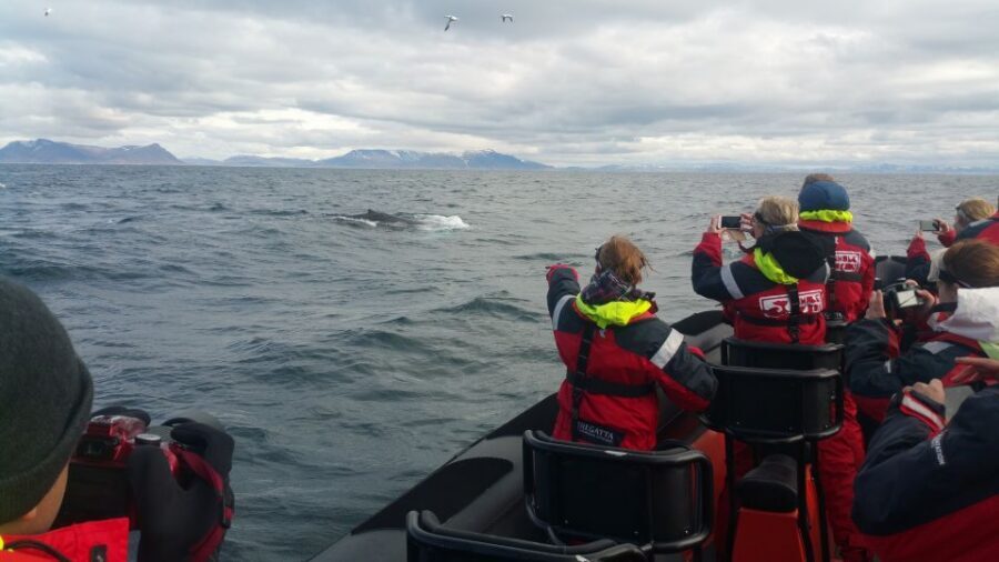Reykjavik: Premium Whale Watching with Flexible Ticket - The Return to Reykjavík: Shoreline Views and Landmark Glimpses