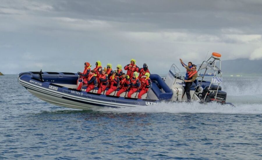 Reykjavik: Premium Whale Watching with Flexible Ticket - The Boarding Setup: Old Harbour, Warm Gear, and Seats That Matter